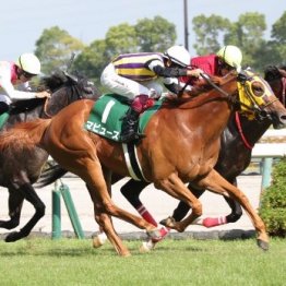 【中京記念】３歳牝馬マピュース競り勝つ