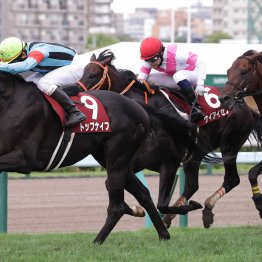 【札幌記念】10番人気トップナイフ待望のタイトル奪取