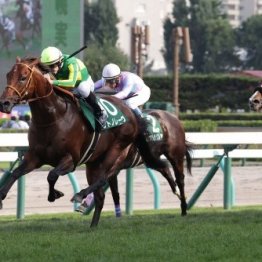 【キーンランドＣ】ＧⅠ馬パンジャタワー登場