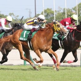 超ハイペースのレースは絶対に記憶すべき