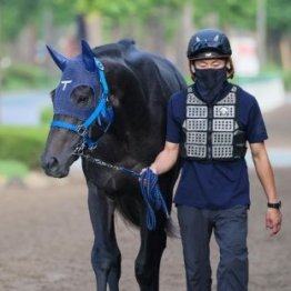 【新潟２歳Ｓ】リアライズシリウス初重賞取り