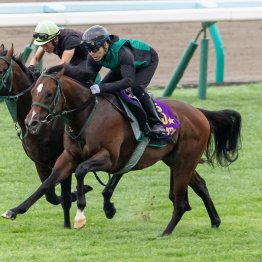 【キーンランドＣ】パンジャタワーＧⅠ馬らしい反応、加速力を披露