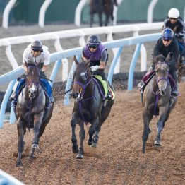 【新潟２歳Ｓ】サンアントワーヌ魅力たっぷり
