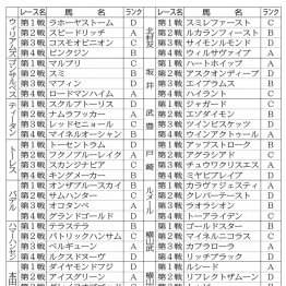 【ワールドオールスタージョッキーズ】ＪＲＡ７人に地方１人、外国人招待騎手６人の対抗戦