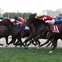 【ワールドオールスタージョッキーズ】ＪＲＡ７人に地方１人、外国人招待騎手６人の対抗戦
