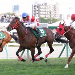 【キーンランドＣ】データ作戦　今年もあるぞ前走⑥着以下からの反撃