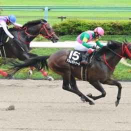 【亀井の土曜競馬コラム・ＢＳＮ賞】