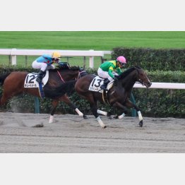 左回り千四で2勝