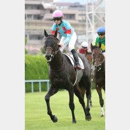 初の滞在がプラスに出る