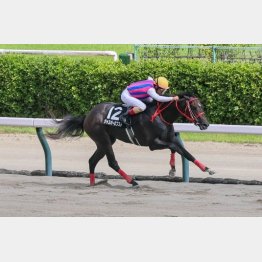 実績のあるコースでオープン初勝利だ