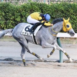 【飯島の土曜競馬コラム・岩室温泉特別】