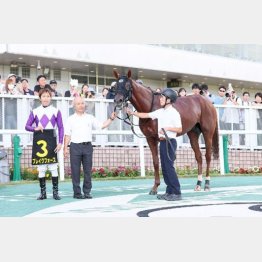 今年も勝つ