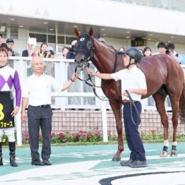【武田の土曜競馬コラム・ＢＳＮ賞】