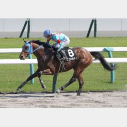 平城京Sでオープン特別勝ち