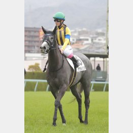 定量戦でも主役