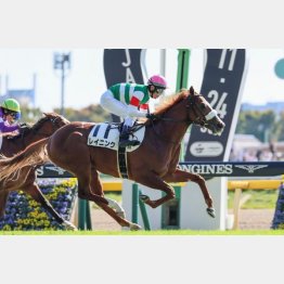 東京千八で新馬勝ち