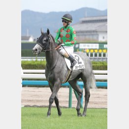 タフな展開なら出番あり