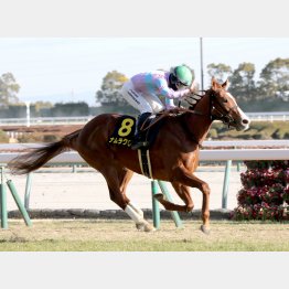イキのいい３歳馬勝負