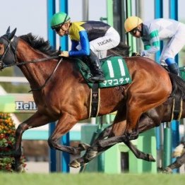 【市川の日曜競馬コラム・キーンランドＣ】