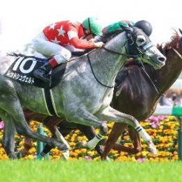 【飯島の日曜競馬コラム・長岡Ｓ】