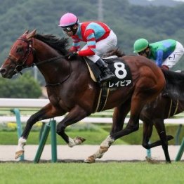 【木津の日曜競馬コラム・キーンランドＣ】