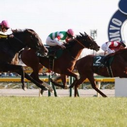 【武田の日曜競馬コラム・キーンランドＣ】