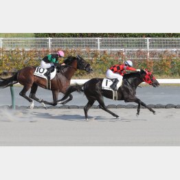 前走が鮮やかな勝ちっぷり