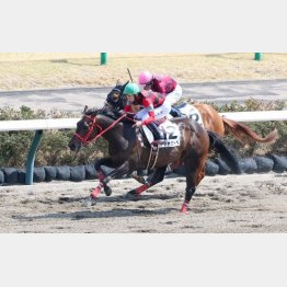 アシャカトベは2走前に未勝利を卒業