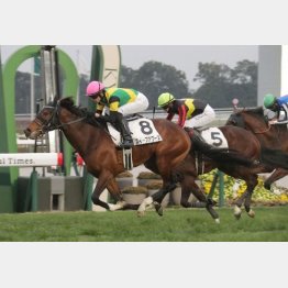 4走前に上がり最速で2勝クラスを突破