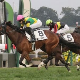 【東京本紙・外山の日曜新潟９Ｒ】