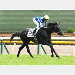 圧巻のデビュー戦