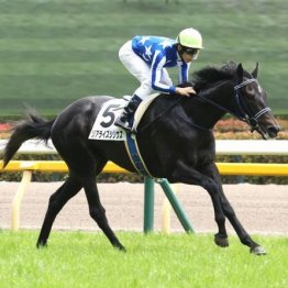 【東京本紙・外山の新潟２歳Ｓ】
