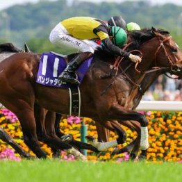 【札幌本紙・新居のキーンランドＣ】