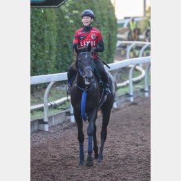 津村も絶賛