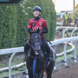 【新潟２歳Ｓ】勝負の３連単リアライズシリウス　良血牝馬との①③着付けで高目狙い