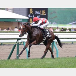 北海道で3連勝