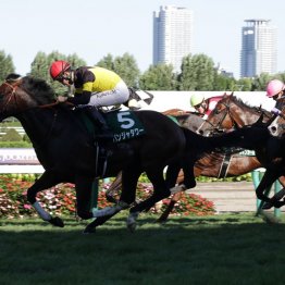 【キーンランドＣ】パンジャタワーがＧⅠ馬の実力を見せつける