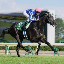 新種牡馬２頭でのワン・ツー　反省しかなかった新潟２歳Ｓ