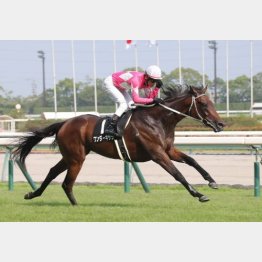 ①着ワンダーキサラ(太宰騎手)「どんな競馬でも力を発揮してくれるえらい馬ですね」