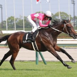 【長篠Ｓ】１番人気ワンダーキサラ２馬身差の完勝