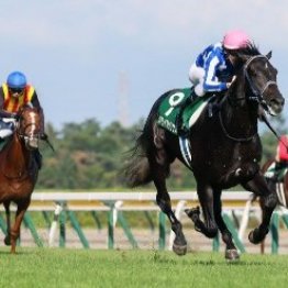 【新潟２歳Ｓ】こちらも圧巻リアライズシリウス次はマイルかそれとも二千か