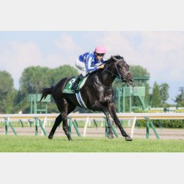 新潟２歳Ｓの記録は優秀