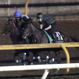【中京２歳Ｓ】マイケルバローズ動き活発