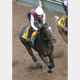 クイーンズウォークは余力十分に1F11秒8