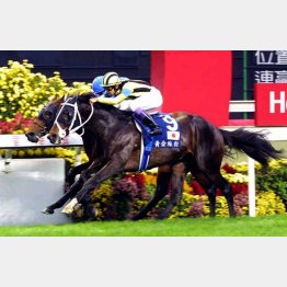 ステイゴールドのラストランとなった01年の香港ヴァーズ