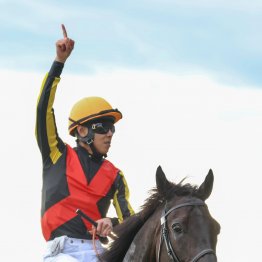 凱旋門賞を目指す日本馬の四馬四様