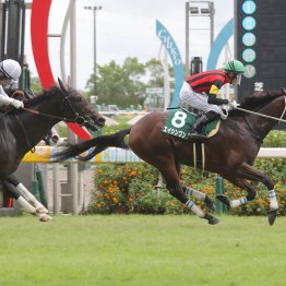 中京２歳Ｓは今年から千四に どんどん減少する２歳のスプリントレース