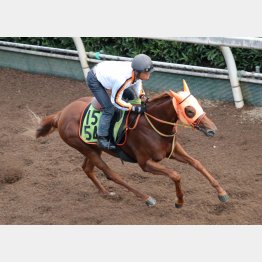 今週は坂路で1F11秒9