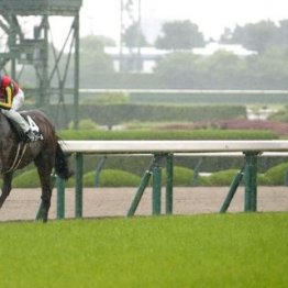 【市川の土曜競馬コラム・日本海Ｓ】
