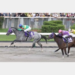 昨年のＷＡＳＪ第３戦でも好走